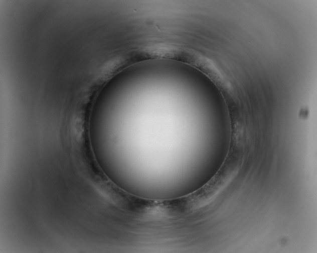 X0000102830259200808181331