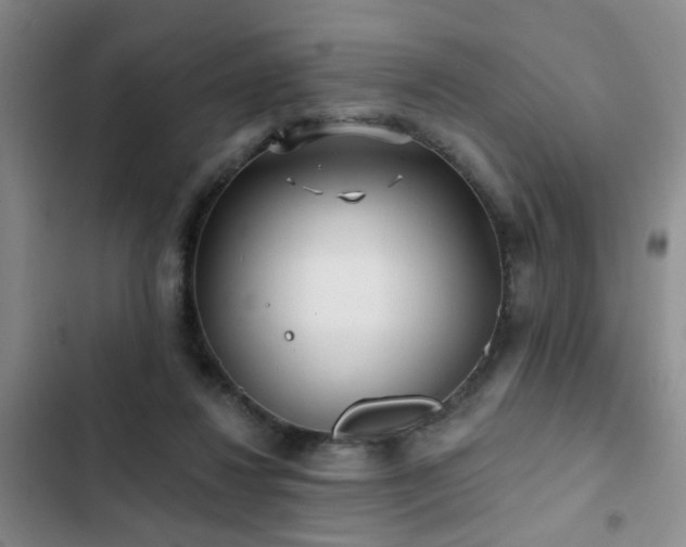 X0000102830260200808181331