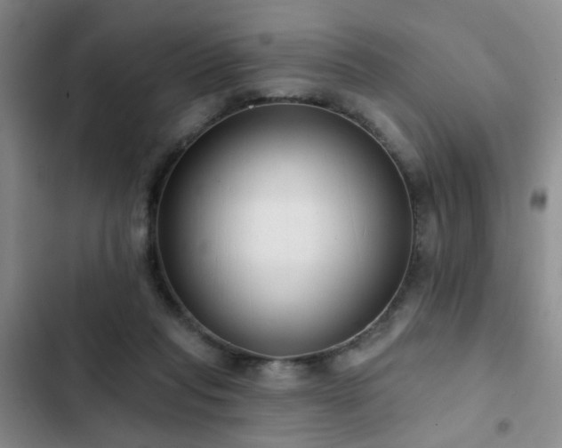 X0000102830261200808181331