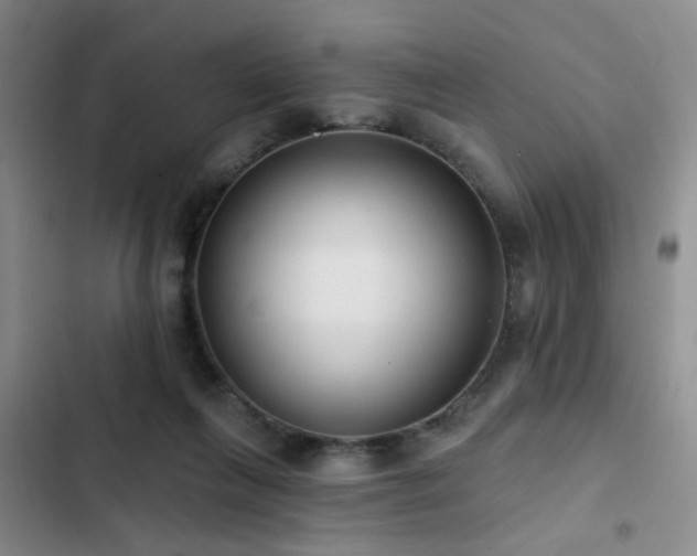 X0000102830263200808181331