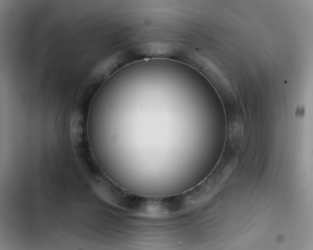 X0000102830264200808181331