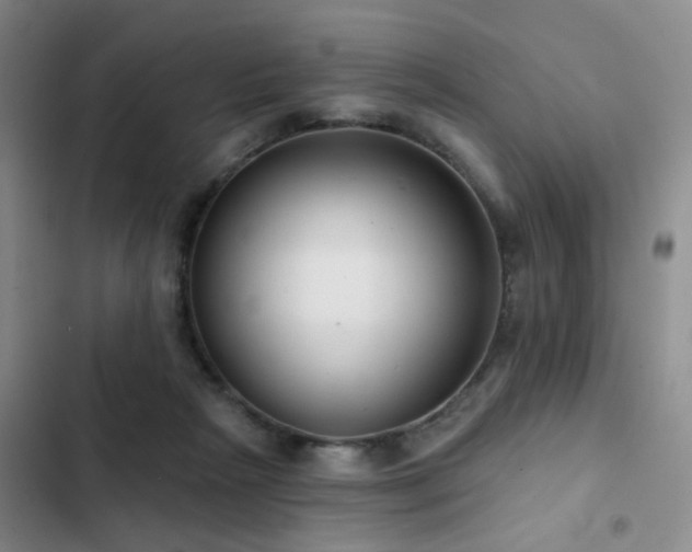 X0000102830265200808181331