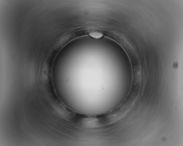 X0000102830266200808181331