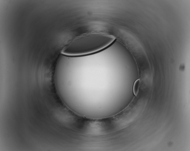 X0000102830268200808181331