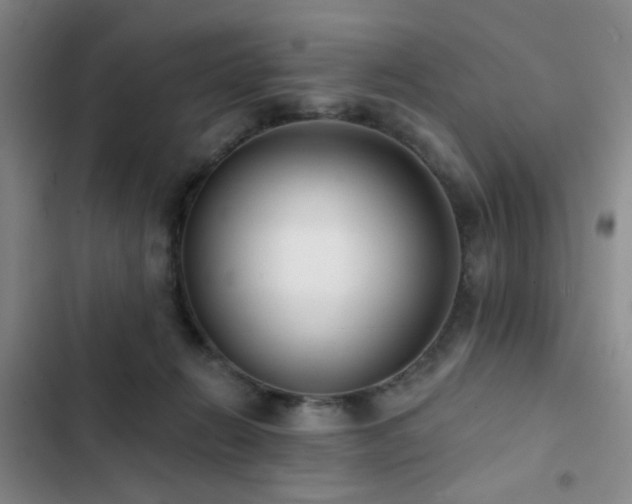 X0000102830270200808181331