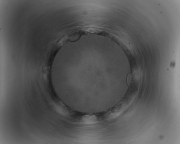 X0000102830271200808181331