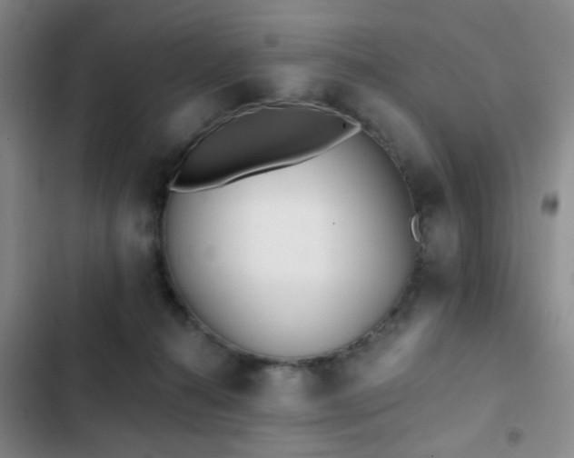 X0000102830272200808181331