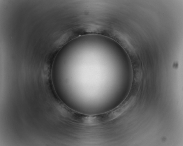 X0000102830273200808181331