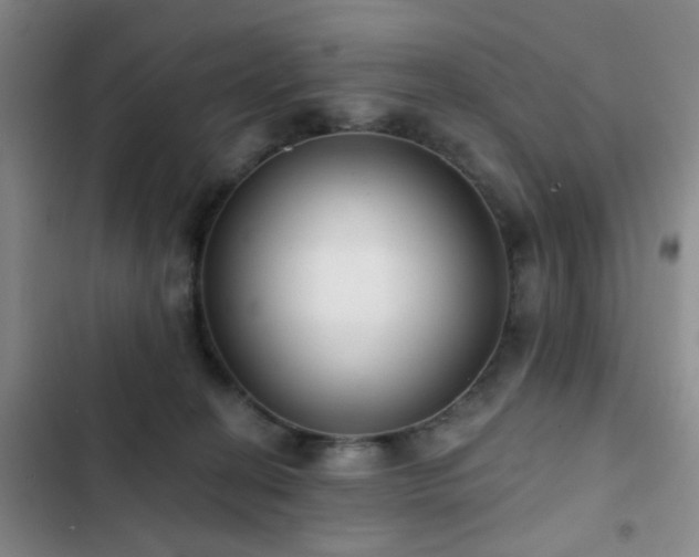 X0000102830274200808181331