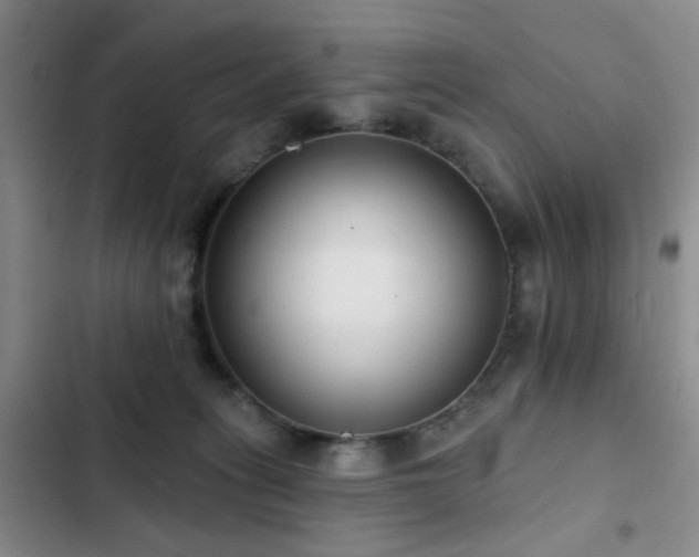 X0000102830275200808181331