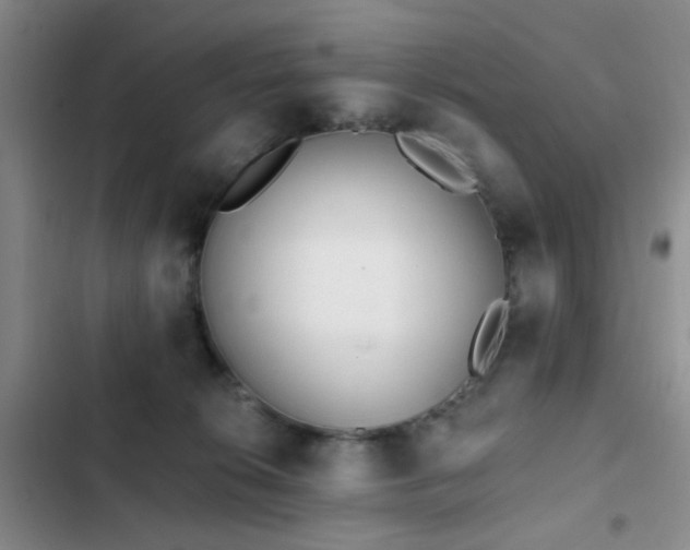 X0000102830276200808181331