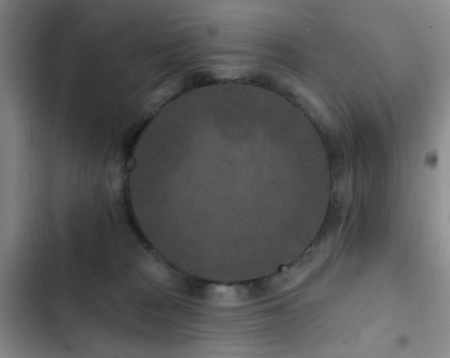 X0000102830277200808181331