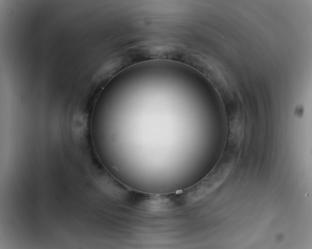 X0000102830278200808181331