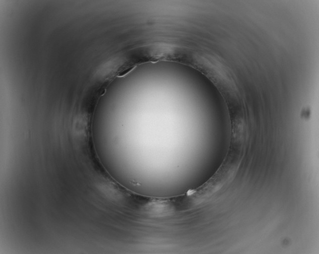 X0000102830280200808181331