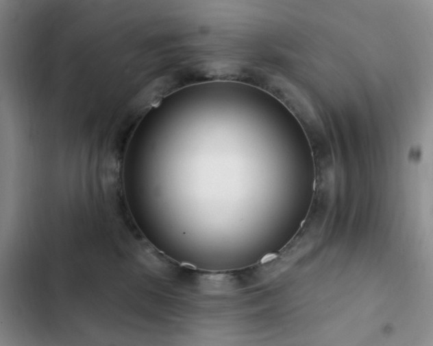 X0000102830281200808181331