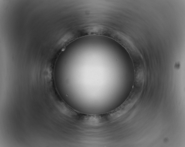 X0000102830282200808181331