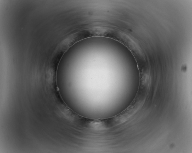 X0000102830283200808181331