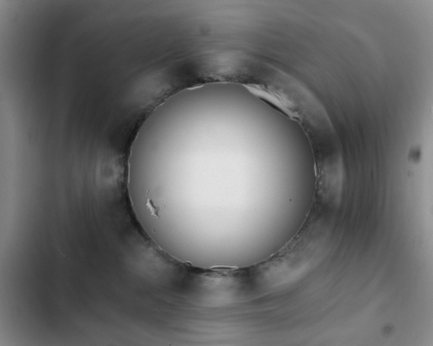 X0000102830284200808181331