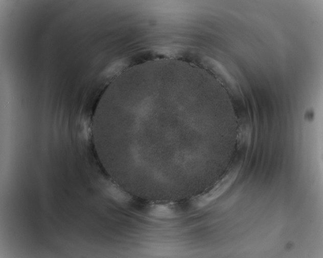 X0000102830285200808181331