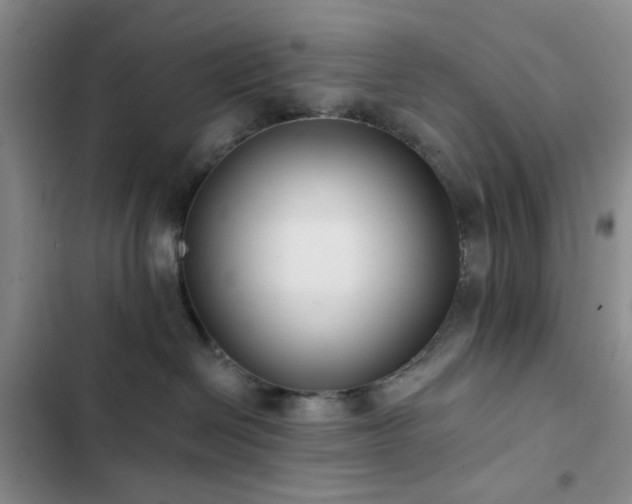 X0000102830286200808181331