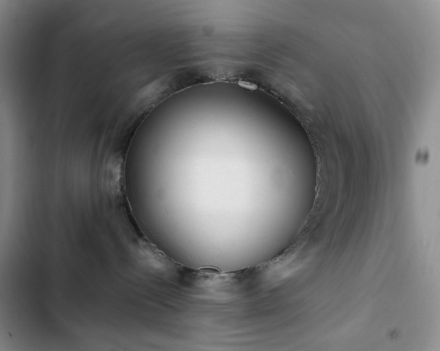 X0000102830288200808181331