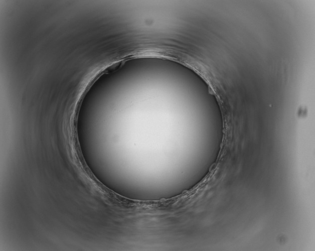 X0000102830289200808181331