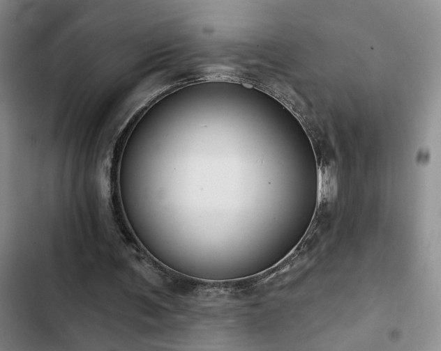 X0000102830291200808181331