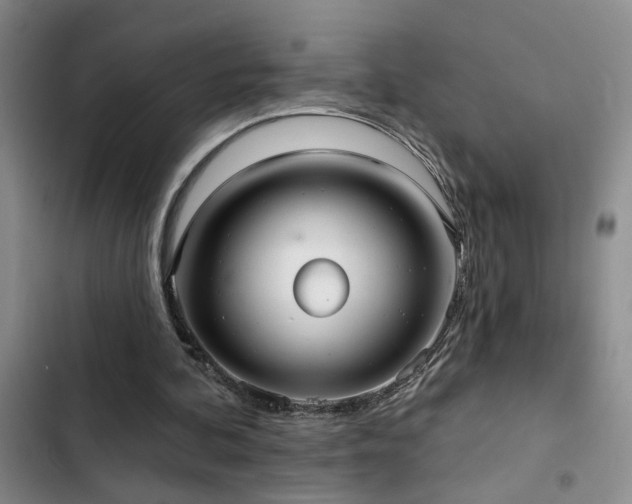 X0000102830292200808181331