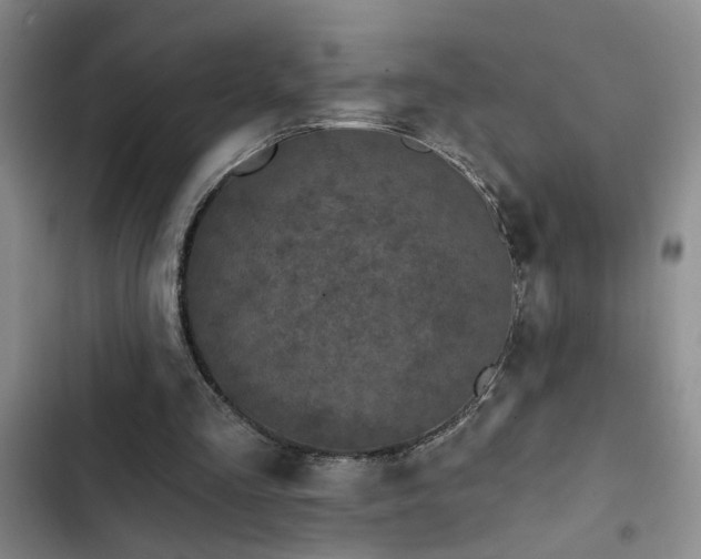 X0000102830293200808181331