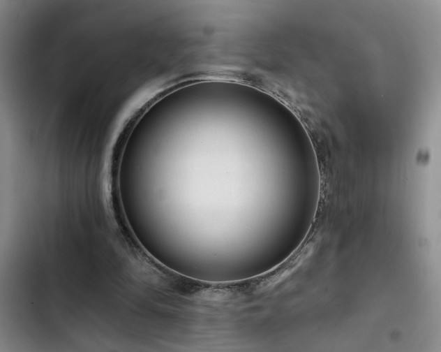 X0000102830294200808181331