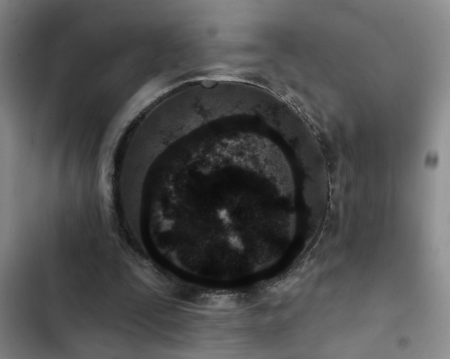 X0000102830295200808181331