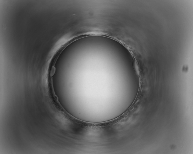 X0000102830296200808181331