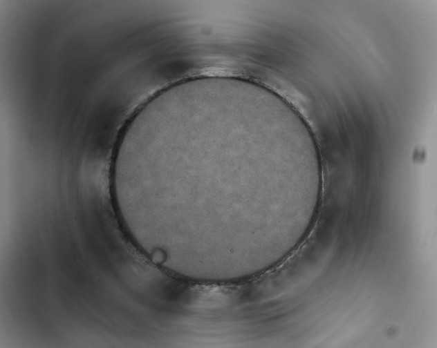 X0000102830297200808181331