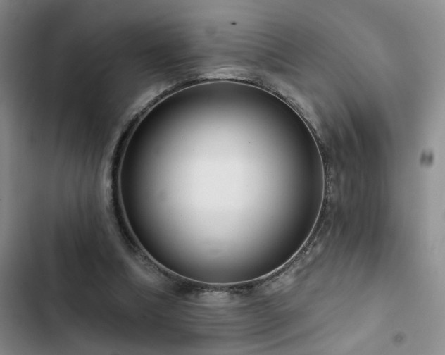 X0000102830298200808181330