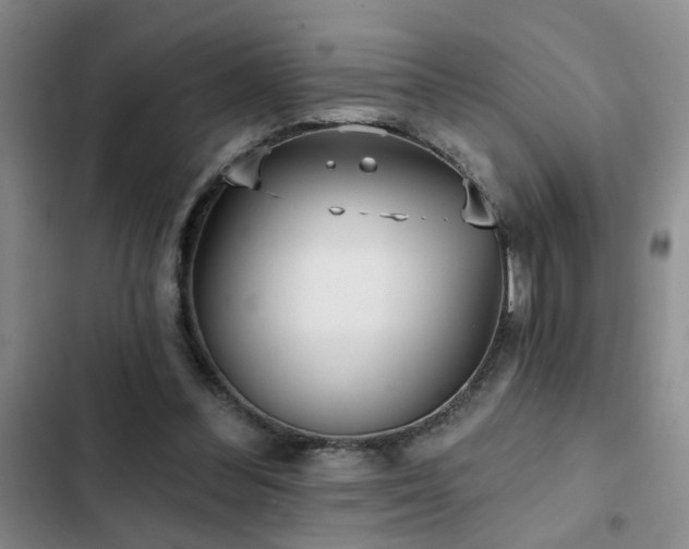 X0000102830300200808181330