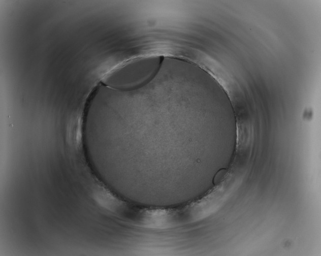 X0000102830301200808181330