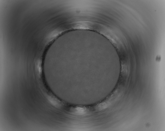 X0000102830302200808181330