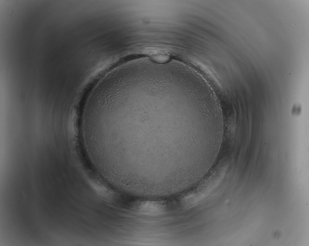 X0000102830303200808181330