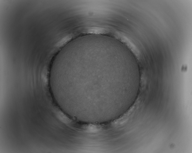 X0000102830305200808181330