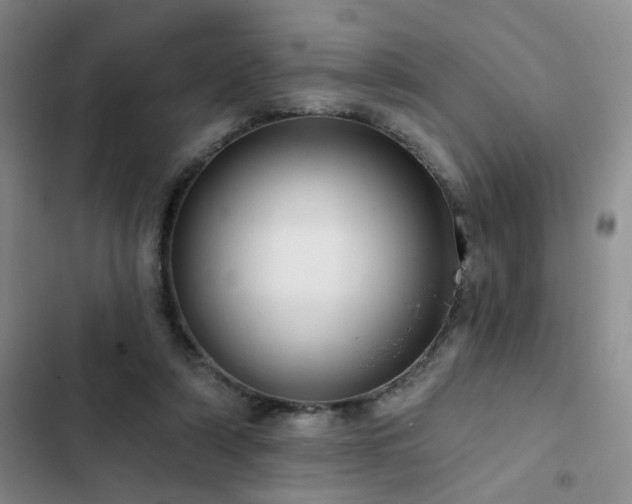 X0000102830306200808181330