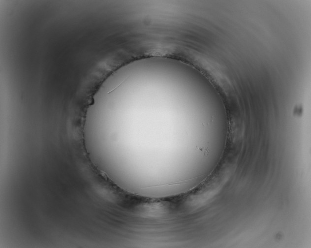 X0000102830307200808181330