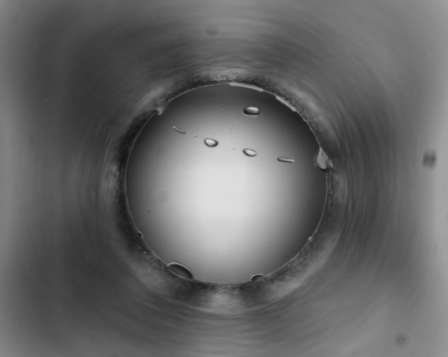 X0000102830308200808181330