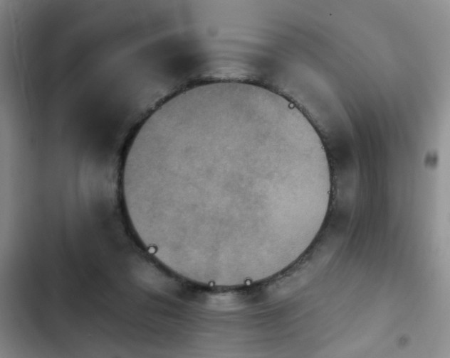 X0000102830309200808181330