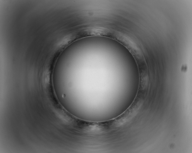 X0000102830310200808181330