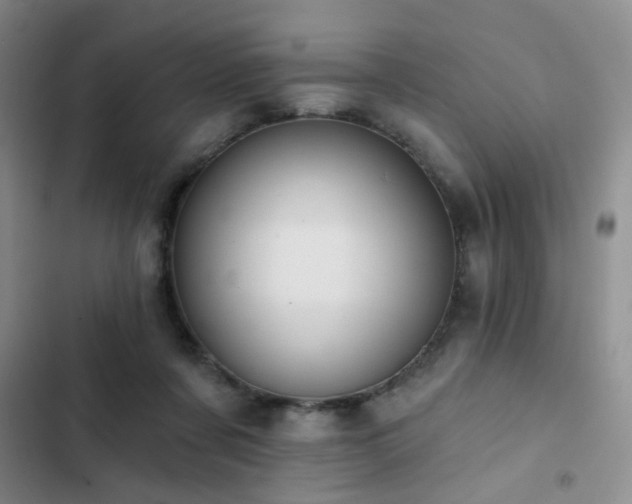 X0000102830311200808181330