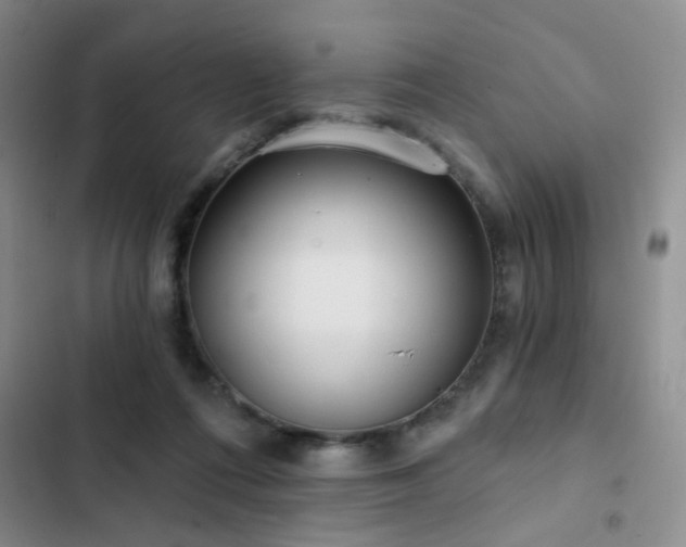 X0000102830312200808181330