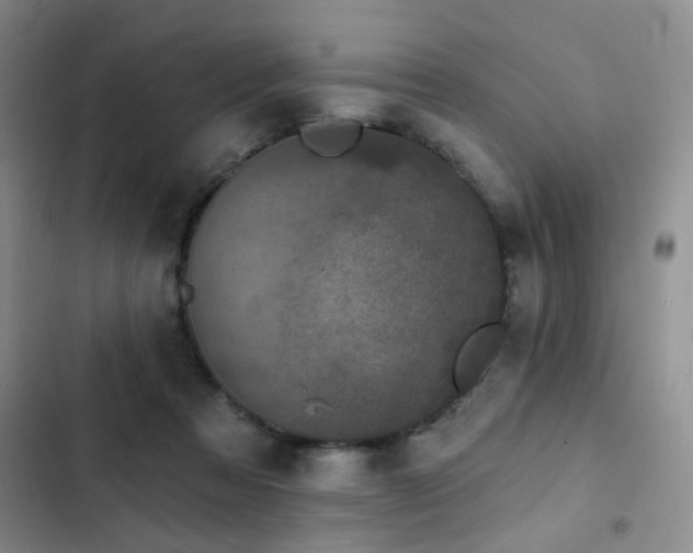 X0000102830313200808181330