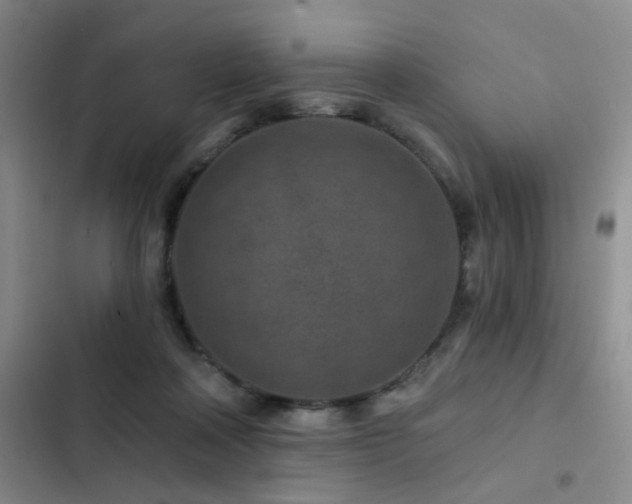 X0000102830314200808181330