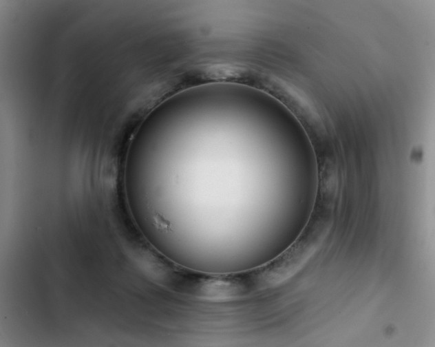 X0000102830315200808181330