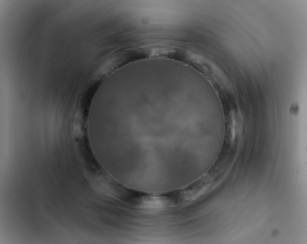 X0000102830316200808181330